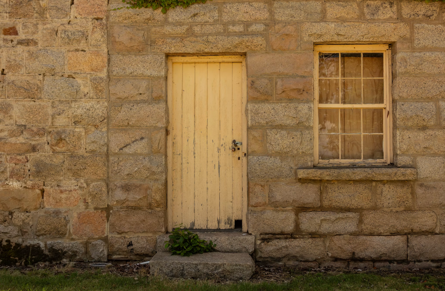 Best Mould Remover for Walls & Damp Areas - Glean
