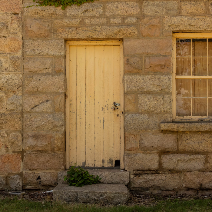 Best Mould Remover for Walls & Damp Areas - Glean