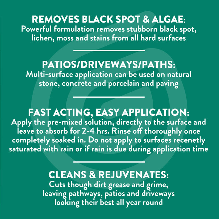 Black Spot Remover | GLEAN