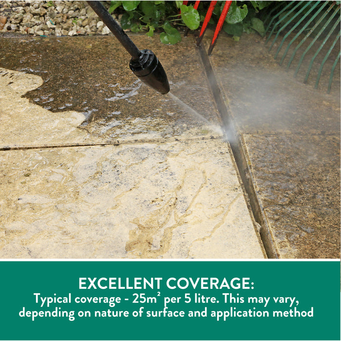 Black Spot Remover | GLEAN
