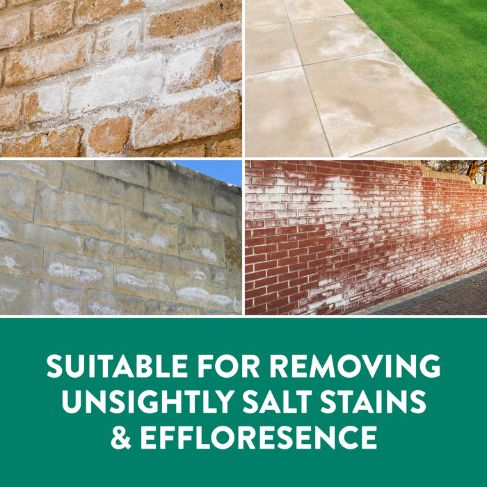 Salt Stain & White Efflorescence Remover | Ready-to-Use for Concrete, Brick & Walls