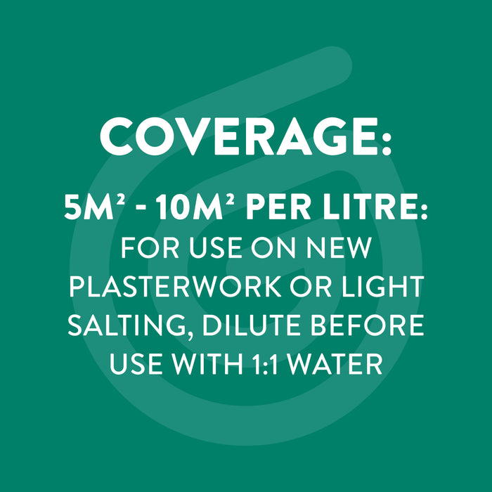 Salt Stain & White Efflorescence Remover | Ready-to-Use for Concrete, Brick & Walls