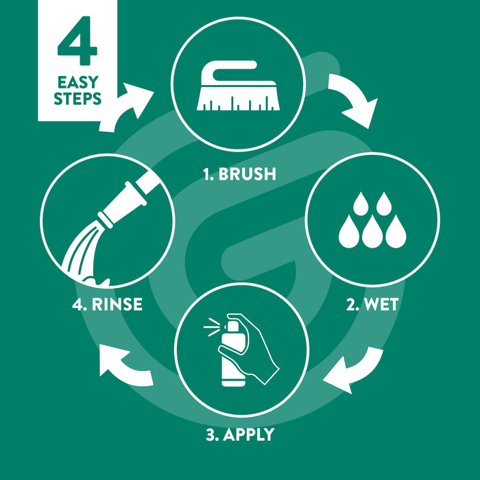 Salt Stain & White Efflorescence Remover | Ready-to-Use for Concrete, Brick & Walls